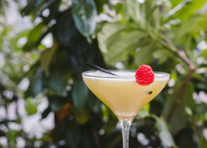 מלון Le Petit Cosy 3*